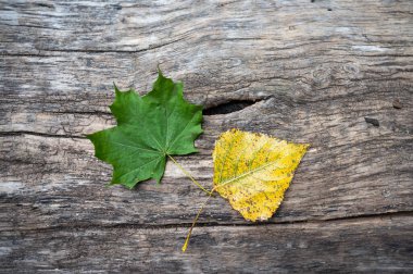 Ahşap arka planda sonbahar yaprakları