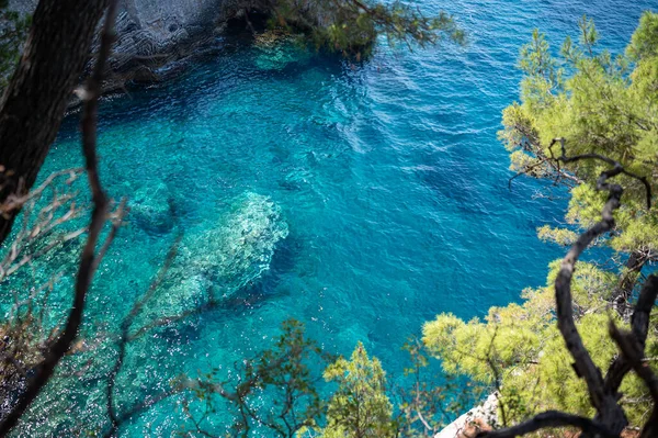 Mavi ve açık denizin üzerindeki çam ağaçlarıyla kaplı kayalık bir uçurum. Üst görünüm.
