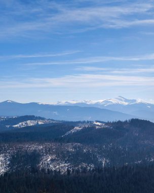 Dikey kış dağ manzarası, karla kaplı zirveler, yemyeşil orman ve metin için kopyalama alanı olan açık mavi gökyüzü..