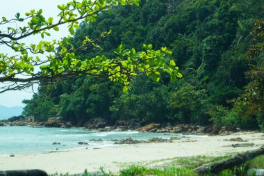 Kumlu kıyıları, kayalık kenarları ve parlak gökyüzünün altında yemyeşil orman arkaplanı olan huzurlu tropikal plaj..