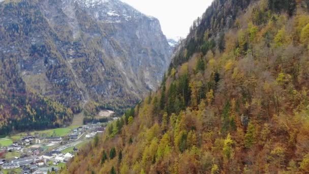 秋天的时候 无人机带着黄树和绿树飞过山坡 上奥地利Salzkammergut的Hallstatt 免版税图库视频片段