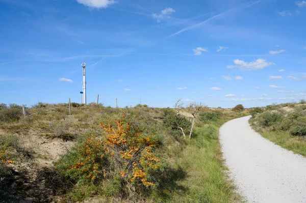 Noordwijk yakınlarındaki kum tepelerindeki radyo Nora (NOordwijk Radyosu) resepsiyon istasyonunun direği..
