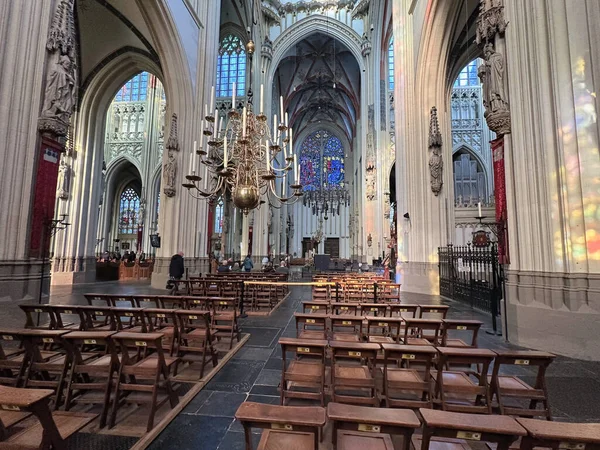 Den Bosch 'taki St. Johns Katedrali' nin avizesi ve vitraylı penceresi..