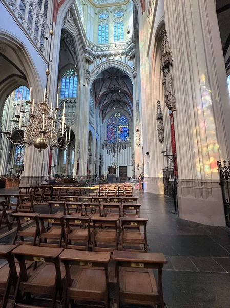 Den Bosch 'taki St. Johns Katedrali' nin avizesi ve vitraylı penceresi..