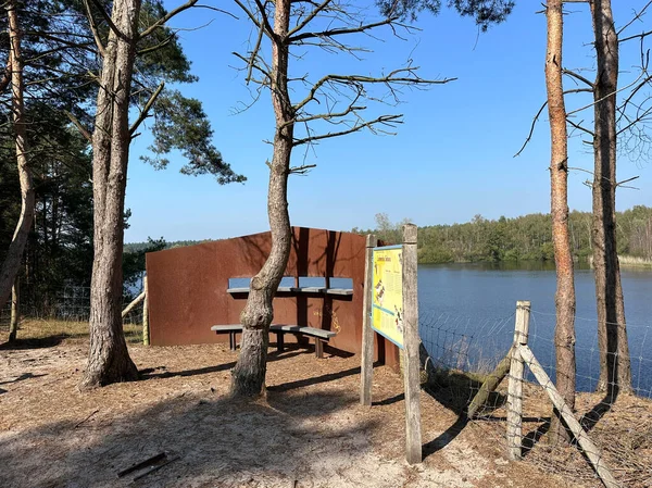 Belçika 'daki Lommelse Sahra Sahra Doğa Koruma Alanı' nın kenarında durgun göl manzarası.