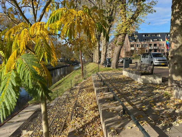 Zuid-Willemsvaart 'ta sonbahar. Bankta sarı yapraklar ve suya çıkan merdivenler.