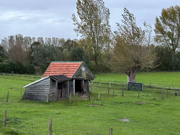İhmal edilmiş, harap olmuş küçük ahşap ahırlar.