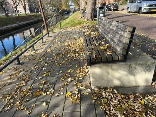 Zuid-Willemsvaart 'ta sonbahar. Bankta sarı yapraklar ve suya çıkan merdivenler.