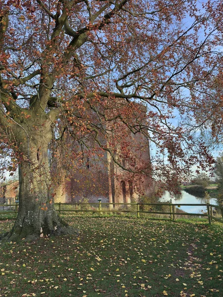 Tarihi Slot Nijenbeek şatosunun önünde kırmızı yapraklı sonbahar ağacı nehir kenarında.