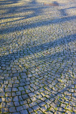 Kavisli taş desenli ve uzun gölgeli kaldırım taşı sokak yüzeyi. Seyahat, mimari ve doku kullanımı için uygun tarihi kentsel kaldırım arka planı