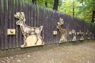 Prag Orman Parkı Vahşi Yaşam Sergisi 'ndeki Tahta Panellerde Gerçek Boyut Geyik Büyüme Sahneleri Doğal Orman Arkaplanına Karşı