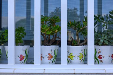 Beyaz parmaklıkların arkasındaki boyalı saksılarda sulu bitkiler dekoratif balkon ayrıntıları yansımalarla