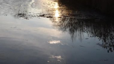 Göl yüzeyi ağaçlar, çalılar ve güneş ışığını yansıtıyor, ılıman bir su akıntısında yavaşça dalgalanan ve sakin, sıcak atmosferi yakalayan doğal bir manzara.