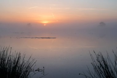 Hollanda 'nın ön tarafında sazlık olan bir gölün üzerinde gün doğumu. Gökyüzü turuncu ve fotoğrafın ortasında güneş yükseliyor..
