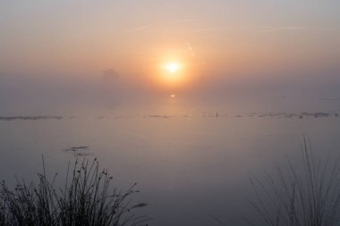Hollanda 'nın ön tarafında sazlık olan bir gölün üzerinde gün doğumu. Gökyüzü turuncu ve fotoğrafın ortasında güneş yükseliyor..