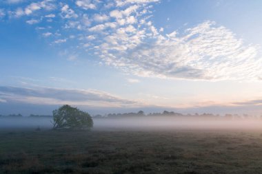 Devrilmiş bir ağacı olan sisli bir çim tarlası. Güzel gökyüzü küçük bulutlarla doludur ve güneş doğmaya başlar. Hava serin ve nemli. Sahne sessiz ve sakin, yalnızlık ve sükunet hissi ile dolu. Hollanda 'da Dwingelderveld.