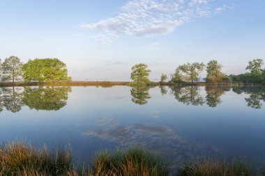 Sabahın erken saatlerinde ağaçların net bir yansıması olan bir göl. İlk güneş ışığı sıcak bir ışık sağlar. Sahne sakin ve huzurlu. Hollanda 'da Dwingelderveld.