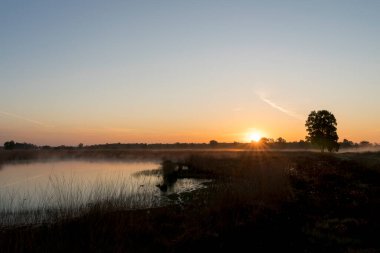 Hollanda 'nın önünde sazlık olan bir gölün üzerinde gün doğumu. Gökyüzü turuncu ve güneş ufuktan yükseliyor..