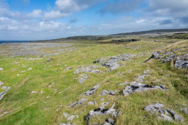 İrlanda 'daki Burren' ler. Mavi gökyüzünün altında kayalar ve yeşil çimlerle kaplı bir ova..