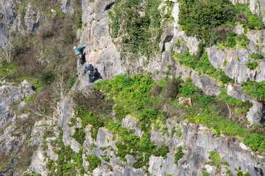 Clifton, Bristol, İngiltere yakınlarındaki Avon Vadisi 'nde kireçtaşı kayalıklarına tırmanan iki dağcı. Dramatik bir doğa göstergesinde açık hava macera sporu.