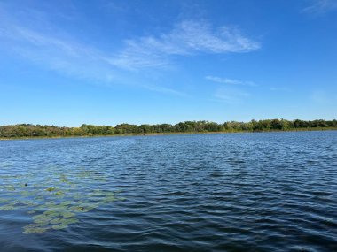 Arka planda çiçek açan nilüferler ve yemyeşil ormanlarla dolu sakin bir yaz gölü. Sakin su yüzeyi yeşil yaprakları yansıtıyor. Doğa, refah, seyahat ve rahatlama projeleri için ideal.