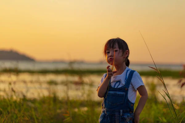 Asiatiska Barn Glada Att Spela Gräs Blommor Kvällen — Stockfoto