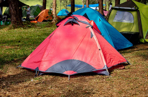 Área Acampamento Manhã Cedo Belo Lugar Natural — Fotografia de Stock