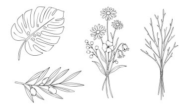 Bir canavar yaprağı, bir buket kır çiçeği, bir zeytin dalı ve doğal tasarım temaları için bir demet dal içeren çok yönlü siyah beyaz çizimler.