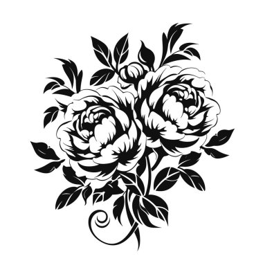 Siyah ve beyaz bir resimde iki büyük gül gösterilir. Yapraklar ve bir gövde var. Bir gülün yanında tomurcuk vardır..