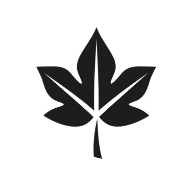 Tek bir yaprak, bir Şeker Akçaağaç, siyah ile bembeyaz bir zemin üzerinde tasvir edilir. Yaprak damarları gösterir..