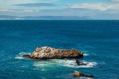 Cape Town şehrinin heykelinin heykeli 