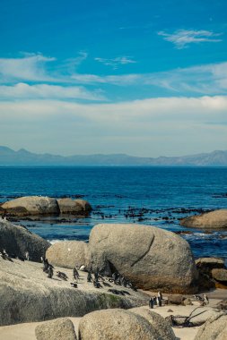 Güzel sahil ve deniz Mavi gökyüzü