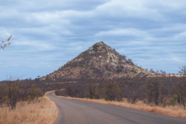 Kruger Park Dağı 'na giden yol 
