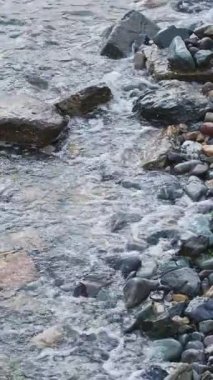 Kıyı Suları Boyunca Uçan ve Dinlenen Martılarla Rocky Deniz Manzarası