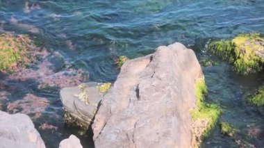 Rocky Sahil Taşları, Dalgalar ve Doğal Deniz Dokuları 'nın Yakın Çekimi