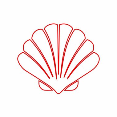 Deniz kabuğu çizimi ve deniz kabuğu çizimi. Çizgi sanatı ve minimum tasarımı olan doğal deniz kabuğu grafiği. Deniz doğası çizimi.