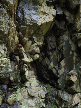 Islak Taş Dokuları Yakın plan