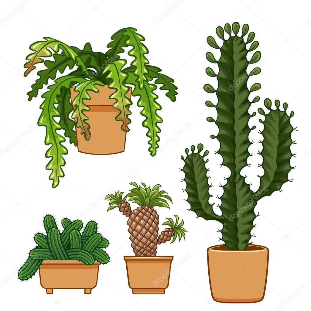 Cactus in flowerpot. Hand drawn set collection. vector illustration.