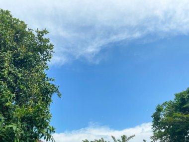 İnce beyaz bulutlar saçan parlak mavi gökyüzü. Yeşiller yemyeşil ağaçlar sahneyi soldan ve sağdan çevreleyecek. Yaprakları güneş ışığı altında canlı olacak. Gökyüzü, bir açıklık ve sükunet hissi vererek resme hükmediyor..