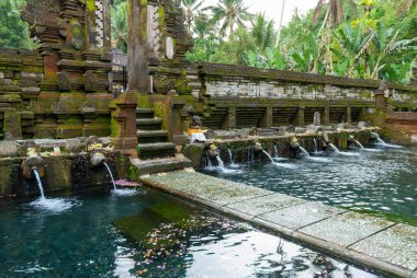Bali 'deki Tirta Boş Hindu Tapınağı' ndaki Kutsal Su Çeşmeleri