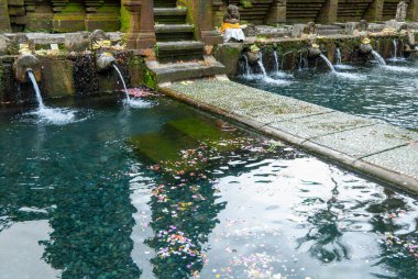 Bali 'deki Tirta Boş Hindu Tapınağı' ndaki Kutsal Su Çeşmeleri