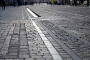 Sokağın asfaltlarında resmi su akıntısı. Almanya 'nın Freiburg şehrindeki ünlü küçük su dolu akarsular.