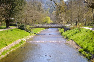 Nehir baharda bir parkta süzülüyor. Suyun üstünde kuşlar var. Ilık havanın tadını çıkarıyor.