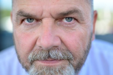 Yaşlı sakallı adam dikkatlice objektife bakıyor. Gri mavi gözlerine odaklanmış yüzünü yakından görüyor.