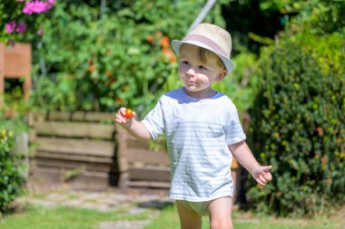 Çizgili tişörtlü ve hasır şapkalı genç bir çocuk güneşli bir bahçede küçük bir domates tutarken gülümsüyor..