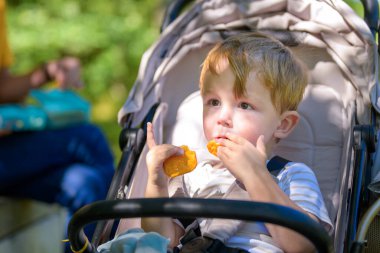 Güneşli bir günde bebek arabasında oturup bir şeyler atıştıran, doğal ışıkta rahat piknik yapan tatlı çocuk..