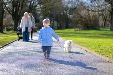 Young toddler walking small white dog alone on park path during sunny day. Authentic childhood lifestyle scene representing independence, responsibility, learning and early development.