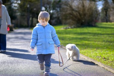 Young toddler walking small white dog alone on sunny park path. Authentic childhood lifestyle moment showing independence, responsibility, early learning and everyday family life outdoors.