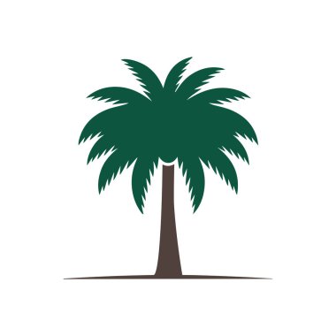 Palmiye ağacı çizimi, ağaç vektörü, palmiye ağacı vektörü