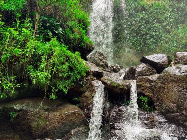 Bereketli yeşil orman bitkilerinden akan tropik bir şelale. Seyahat ve doğa içeriği, editoryal kullanım, çevre temaları, macera ve manzara geçmişleri için uygundur.